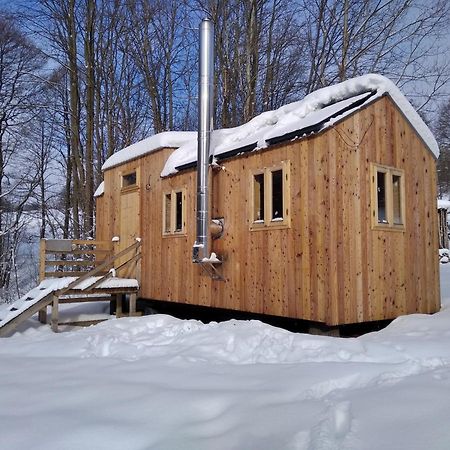 Celorocni Glamping V Pohodlnem Domecku Villa Výprachtice Exteriör bild