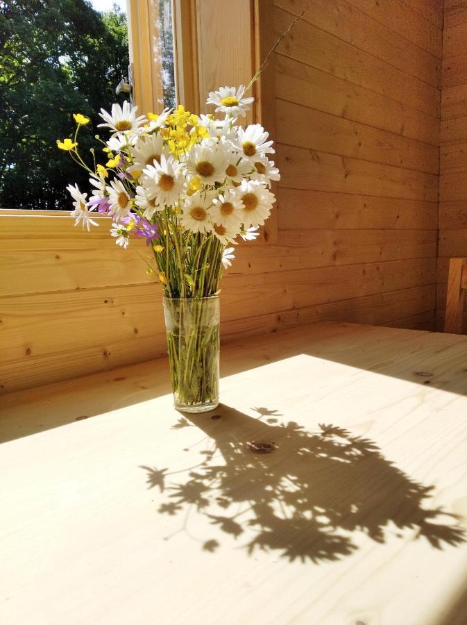 Celorocni Glamping V Pohodlnem Domecku Villa Výprachtice Exteriör bild