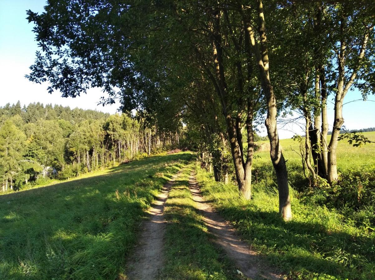 Celorocni Glamping V Pohodlnem Domecku Villa Výprachtice Exteriör bild