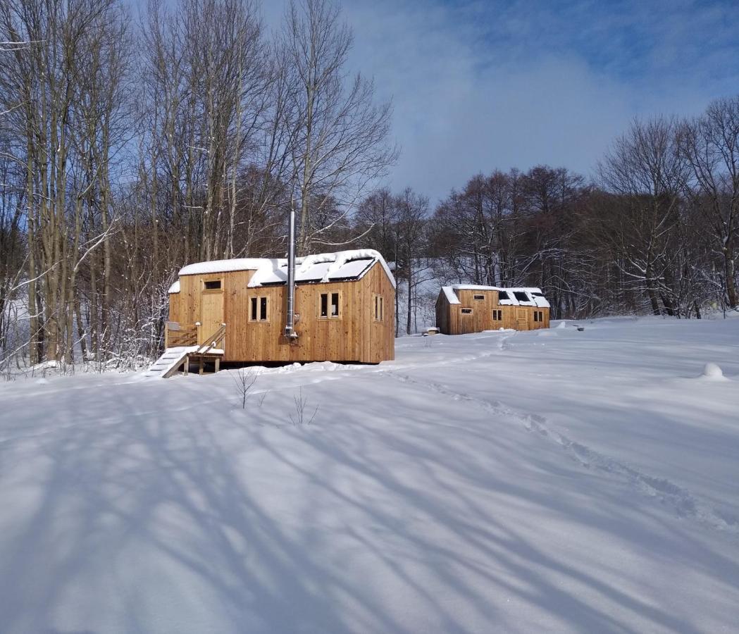 Celorocni Glamping V Pohodlnem Domecku Villa Výprachtice Exteriör bild